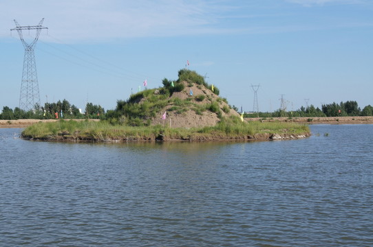 沙湖小島