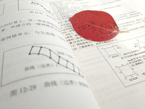 書本飄落的紅葉