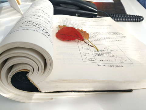 午后陽(yáng)光書(shū)籍