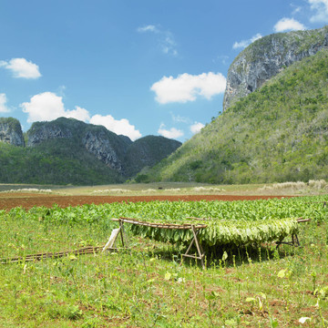 風景