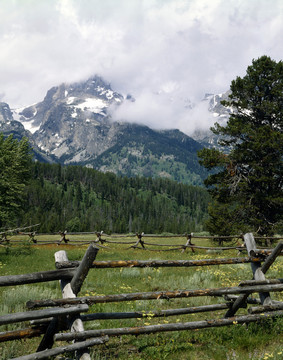 山