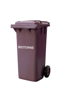 生物素
