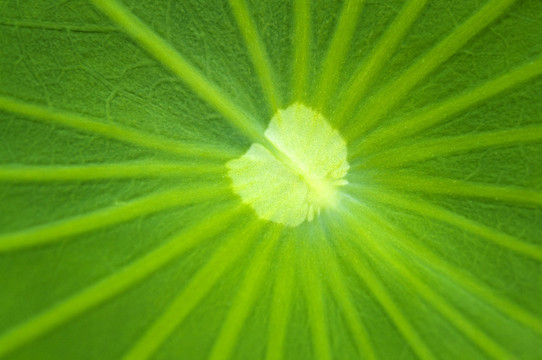 緊密的