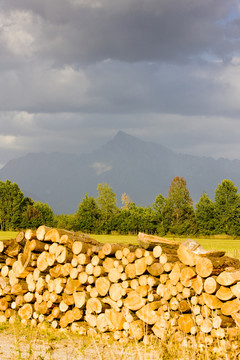 山