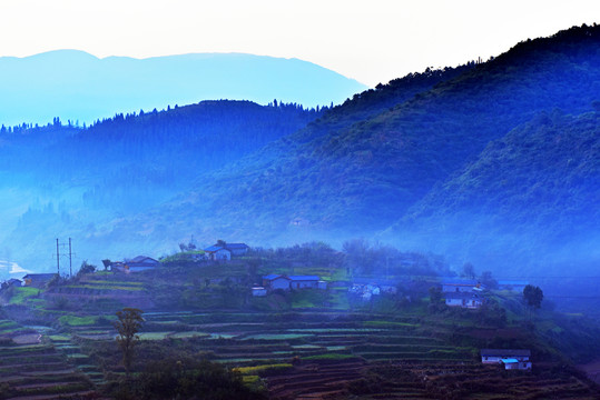 黎明 霧氣 農(nóng)村 朦朧