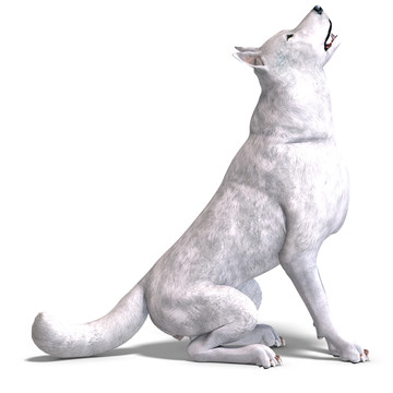說明