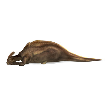 說明