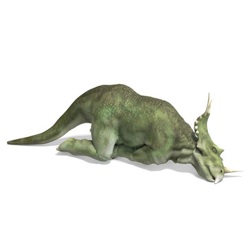 說明