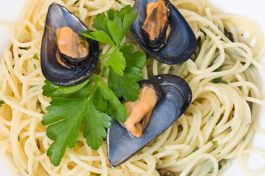 食物