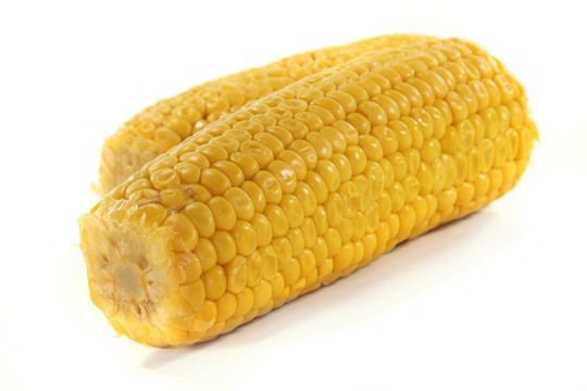 玉米的穗軸