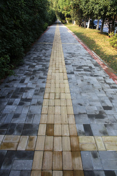盲道