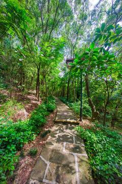 惠州飛鵝嶺公園