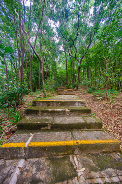 惠州飛鵝嶺公園