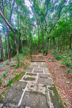 惠州飛鵝嶺公園