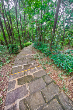 惠州飛鵝嶺公園