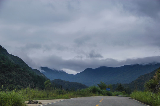大山中的路