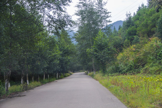 山林鄉(xiāng)村路