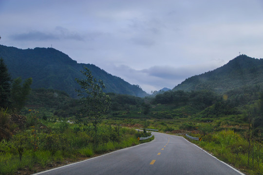 山路彎彎