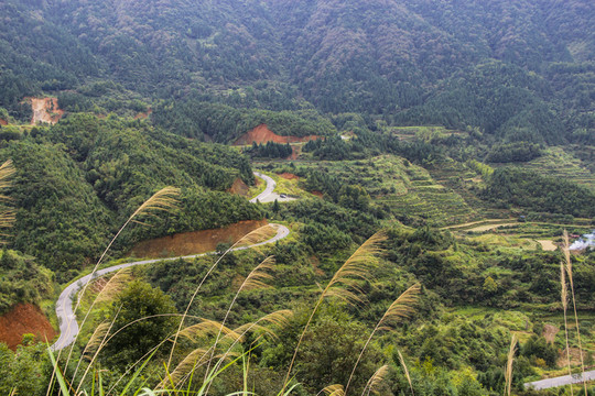 蜿蜒盤山公路
