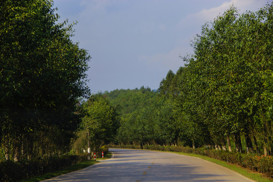 鄉(xiāng)村道路風(fēng)景