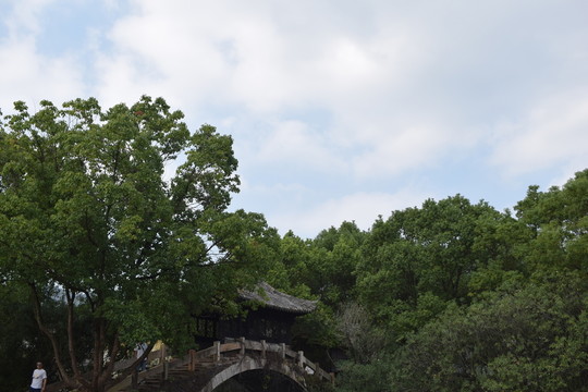 風(fēng)景