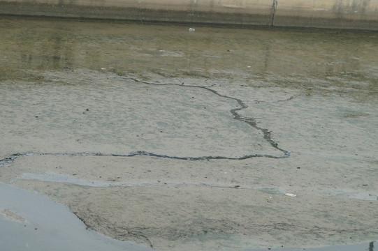 淤泥河床
