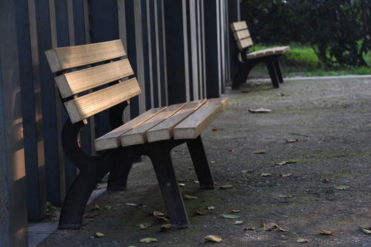 公園的休閑椅