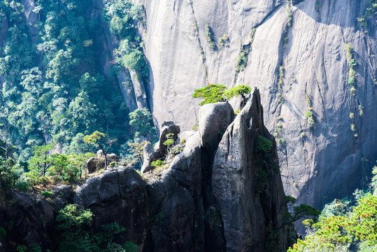 三清山風(fēng)景