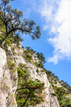 三清山風(fēng)景
