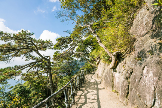 三清山風(fēng)景