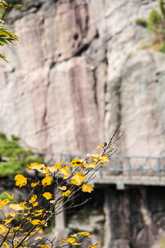 三清山風(fēng)光