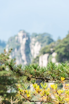 三清山風(fēng)景