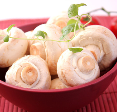 食物