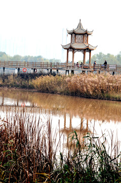 安寧濕地公園