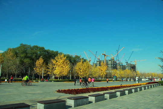 秋景