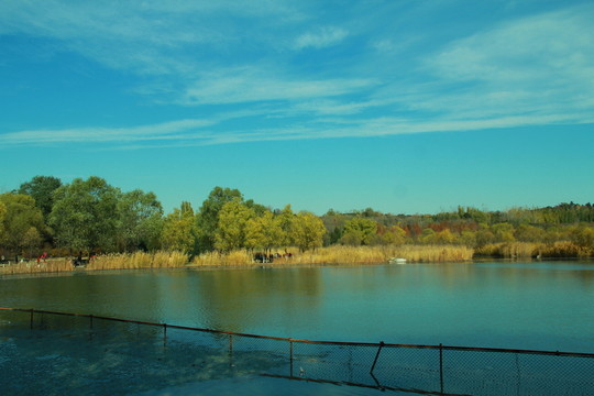 湖景