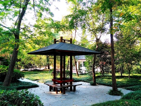 南京鳳凰山公園