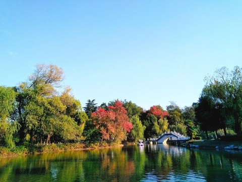 南京鳳凰山公園