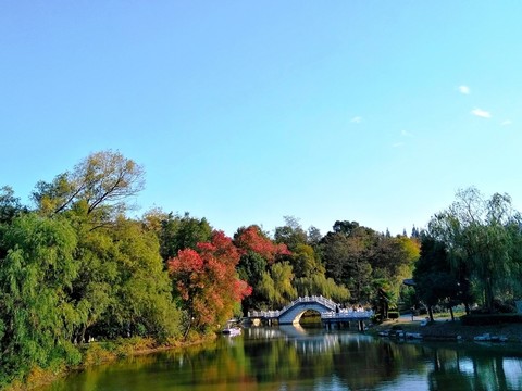 南京鳳凰山公園