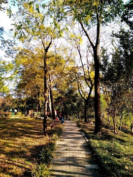 南京鳳凰山公園