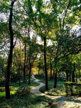 南京鳳凰山公園