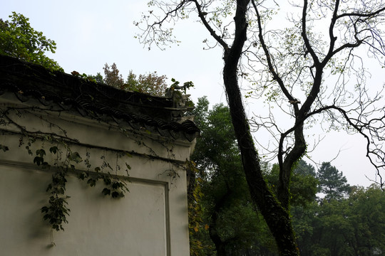 古建筑園林