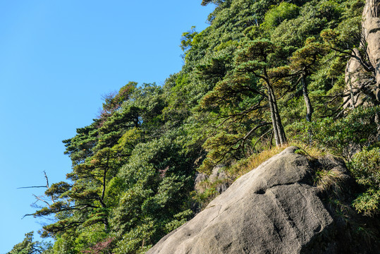 三清山風(fēng)光