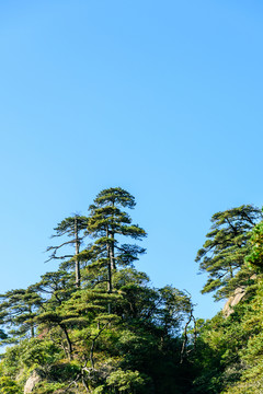 三清山風(fēng)景
