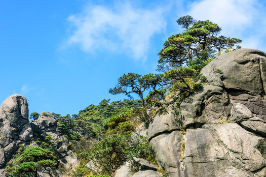 三清山風(fēng)景