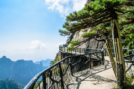 三清山風(fēng)景