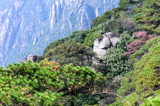 三清山風(fēng)光