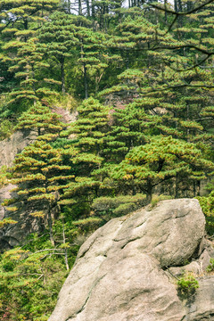 三清山風(fēng)光