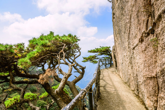三清山風(fēng)光
