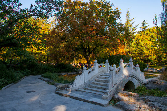 北京地壇公園 秋色